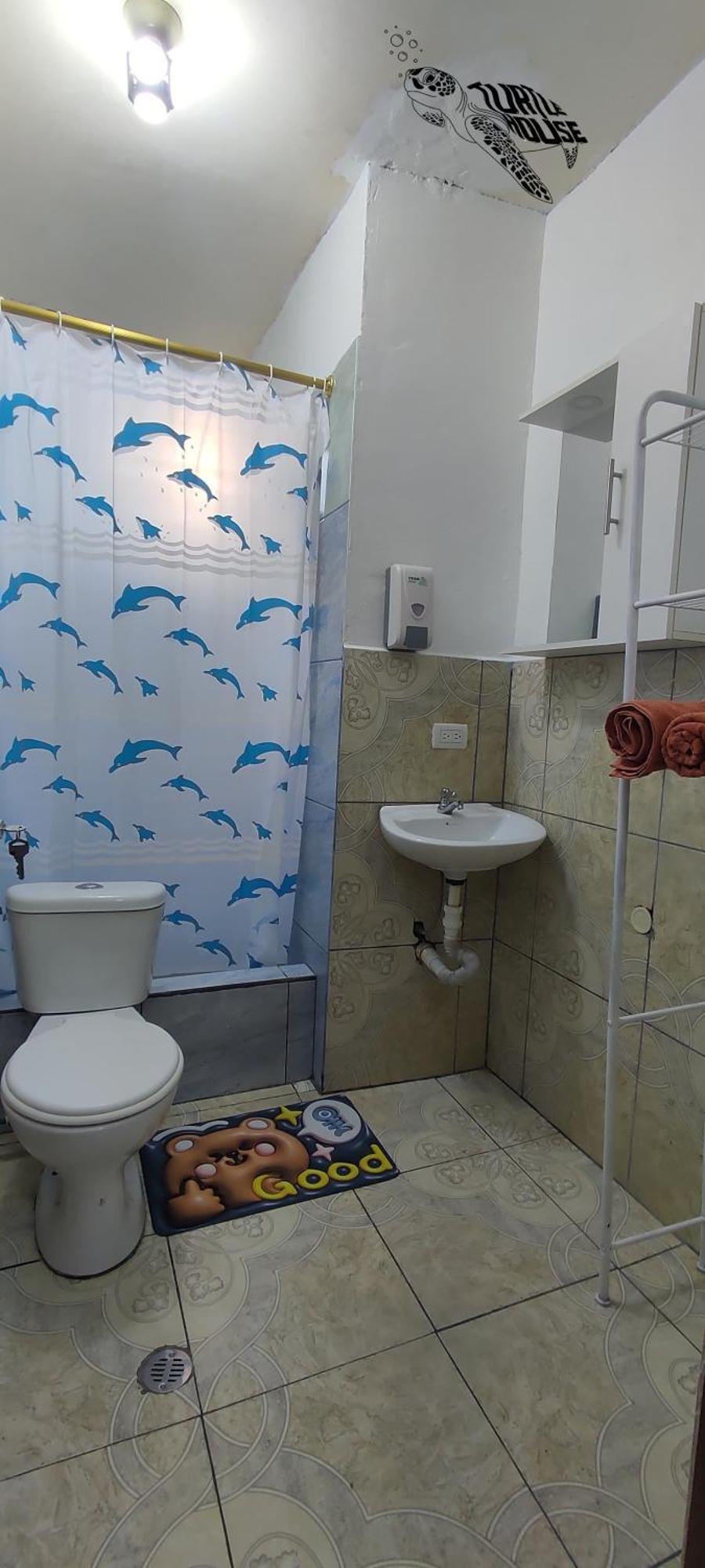 Apartament Tortuga House Puerto Baquerizo Moreno Zewnętrze zdjęcie