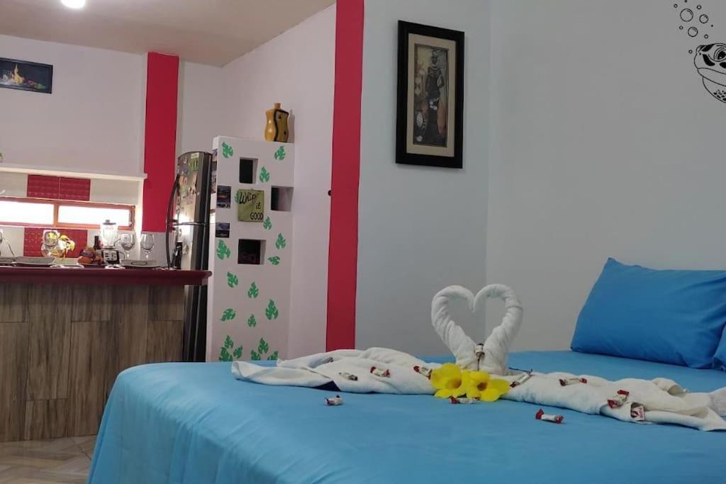Apartament Tortuga House Puerto Baquerizo Moreno Zewnętrze zdjęcie
