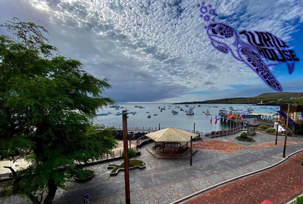 Apartament Tortuga House Puerto Baquerizo Moreno Zewnętrze zdjęcie